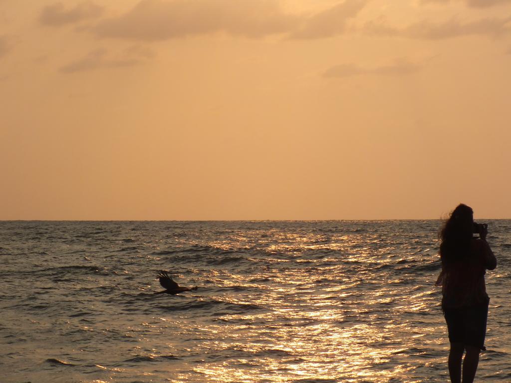 Thoms Beach Homestay Alappuzha Esterno foto